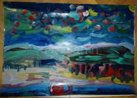 Cs. Németh Miklós (1934-): Mező, olaj-papír, jelzés nélkül, 70x100cm