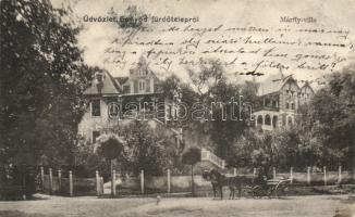 Fonyód-fürdőtelep (fa)