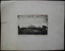 Wittich Eperjesi Zoltán(1909-?): Vihar őszi délután, rézkarc, papír, jelzett 10×15 cm