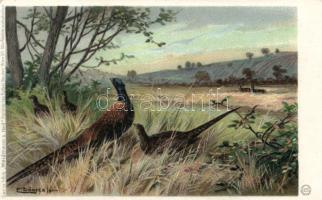 Pheasants litho  s: E. Döcker
