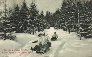 Tátra winter sports, sleighing