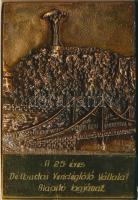 ~1985. "A 25 éves Délbudai Vendéglátó Vállalat Alapító tagjának" bronz plakett adományozói díszdobozban (90x134mm) T:1-,2 (doboz sérült)
