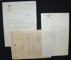 Vegyes okmány tétel 10 db., benne Tanácsköztársasággal kapcsolatos iratok