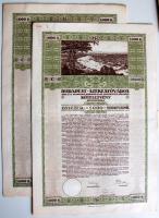 1916. "Budapest Székesfőváros" kötelezvénye 1000K-ról szelvényutalvánnyal és szelvényekkel magyar és német nyelven (2x)