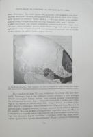 A természet világa I.-IV. kötet. A csillagos ég. I. A légkör. II. A föld és a tenger. III. A föld és...