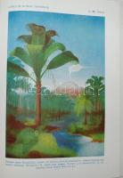 A természet világa I.-IV. kötet. A csillagos ég. I. A légkör. II. A föld és a tenger. III. A föld és...