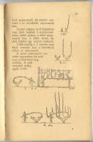 Vaday József: Vincellér-könyv, szőlőmunkások és gazdák részére, szemléltető rajzokkal, Nagyvárad, 19...