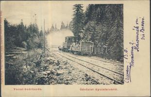 Gyulafalva railroad, locomotive