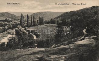 Boksánbánya, Divald & Monostory