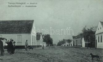 Temeshidegkút Arad street
