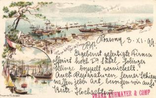 1899 Fiume port 2kr Ga. litho