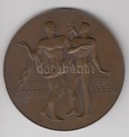 1946-1947. "UMTE - A Magyar Demokrácia a Testedzésért / Ép Testben Ép Lélek" Br emlékérem (60mm) dísztokban T:2
