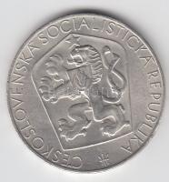 Csehszlovákia 1965. 25K Ag "Felszabadulás 20. évfordulója" T:2
Czechoslovakia 1965. 25 Kor...