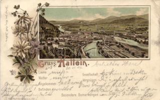 1897 Halbein litho (Rb)
