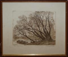 Varga Mátyás: Ősz Tapolcán, rézkarc, papír. Jelzett, 24x28 cm, üvegezett keretben.