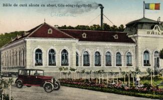 Marosújvár spa, automobile