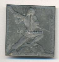 1917. "M. Kir. Budapesti 29. Honvédek 1914-1915-1916-1917" jelvény Szign.: Szamosi Soós Vi...