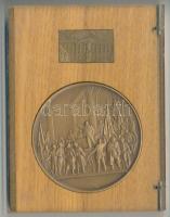 Oroszország DN "Szmolnij Intézet / Októberi forradalom" Br emlékérem (70mm) és kisméretű plakett, fa és plasztik dísztokban" T:1 Russia ND "Smolny Institute / October Revolution" Br medallion (70mm) and small plaquette in wooden-and plastic case C:Unc