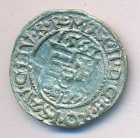 1567KB. Denár Ag "Miksa" (0,52g) T:2
Huszár: 992., Unger II.: 766.a