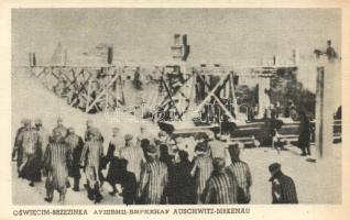 Brzezinka Auschwitz-Birkenau concentration camp, workers