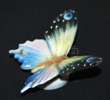 Német, kézzel festett lepke, 7mm repedéssel a szárnyán, jelzett 6×12 cm