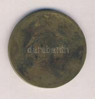 1901. "Makói Ipar és Gazdasági Kiállítás" réz emlékérem (55mm) T:2 ph