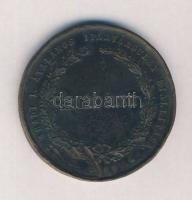 1880. "Az Aradi Átalános Ipartársulat Kiállítása" Br emlékérem (50mm) T:2- ph.