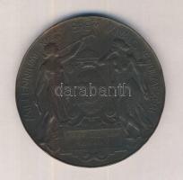 Beck Ö(tvös) Fülöp (1873-1945) "1896-iki Ezredéves Országos Kiállítás / Millenniumi Nagy Érem K...