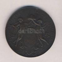 Beck Ö(tvös) Fülöp (1873-1945) "1896-iki Ezredéves Országos Kiállítás / kiállítási Érem Az Érdem Jutalmául" Br emlékérem (70mm) T:2-