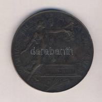 Beck Ö(tvös) Fülöp (1873-1945) "1896-iki Ezredéves Országos Kiállítás / kiállítási Érem Az Érde...