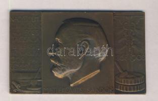 Beck Ö(tvös) Fülöp (1873-1945) 1908. "Nagyérdemű Elnökének 40 éves Tagsága Emlékére Az Országos Iparegyesület / Matlekovits Sándor" Br plakett (48x80mm) T:2