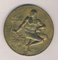 Berán Lajos (1882-1943) 1925. "Országos Kézművesipari Tárlat Budapesten" aranyozott Br eml...