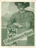 Austrian plebiscite propaganda So. Stpl (16.5 x 12 cm) (EB)