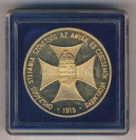 1995. "80 éves a védőnői szolgálat/Országos Stefánia Szövetség az Anyák és Csecsemők Védelmére" aranyozott emlékérem (42.5mm) tokban T:PP