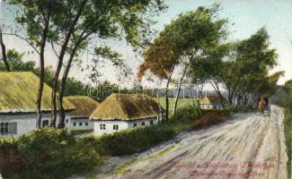 Polish farmsteads (EK)