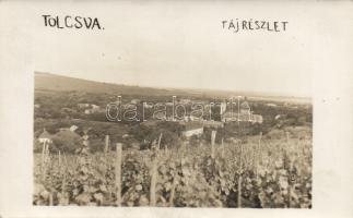 Tolcsva szőlő, photo
