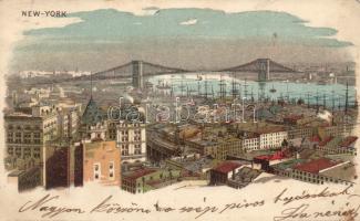 1899 New York litho (gluemark)