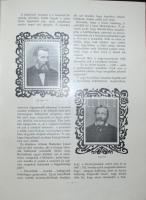 Politikai Magyarország II. kötet, Bp., 1913. Anonymus. Festett egészvászon kötésben, hátsó borító el...