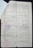 1944/1946 Általános munkaadói igazolvány a Nemzetközi Vöröskereszt pecsétjével, mellékelve egy lakás...