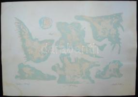 Velekei József Lajos (1950): Végtelen lebegés; A madárijesztő, 2db litográfia, jelzett, 44,5x63,5cm