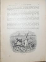 Thomas W. Knox: The Boy trawellers in Mexico. Illustrated. New Yor., 1905. Harper and Bros. 552p. ki...