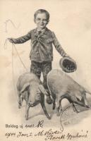 New Year, boy, pigs