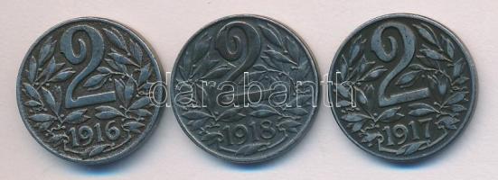 Ausztria 1916/17/18. 2h (3x) T:2 Austria 1916/17/18. 2 Heller (3x) C:XF