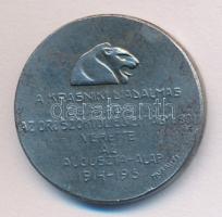 Murányi Gyula (1881-1920) 1915. "A Krasniki diadalmas csatában az oroszoktól elvett ágyúból verette az Auguszta-Alap" hadifém emlékérem (21mm) T:2-