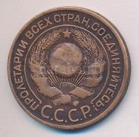 Szovjetunió 1924. 3k T:2-
Soviet Union 1924. 3 Kopeks C:VF