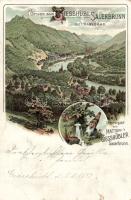 1897 Kyselka (Giesshübl-Sauerbrunn) Mattoni litho (b)