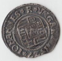 1527K-T. Denár Ag "Szapolyai János" (0.50g) T:2 patina
Huszár 881., Unger I 699.l