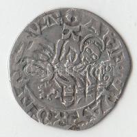 1489. Denár "I. Mátyás" (0,45g) T:2 v. Huszár 722.,Unger I.: 567.a