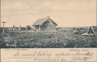 Hortobágy lakóház