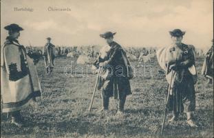 Hortobágy ökörcsorda